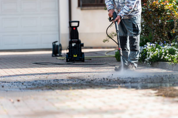 Deck Cleaning Services in Wood Dale, IL